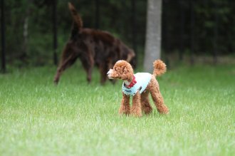 終わったと思ったら・・ 終わったと思ったら・・