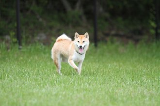 終わったと思ったら・・ 終わったと思ったら・・