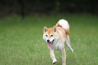 終わったと思ったら・・ 終わったと思ったら・・