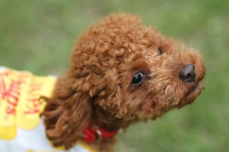 終わったと思ったら・・ 終わったと思ったら・・