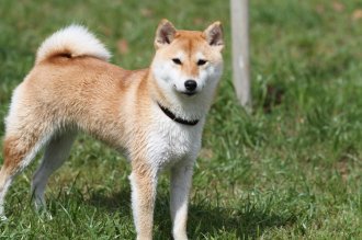 終わったと思ったら・・ 終わったと思ったら・・
