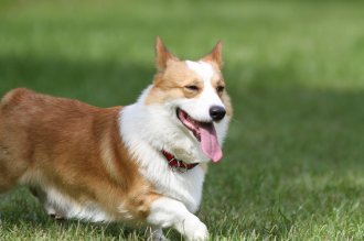 終わったと思ったら・・ 終わったと思ったら・・