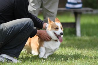 終わったと思ったら・・ 終わったと思ったら・・