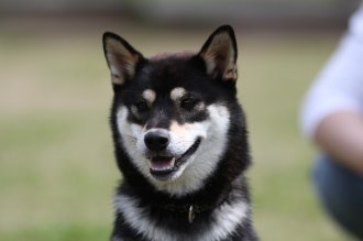 終わったと思ったら・・ 終わったと思ったら・・
