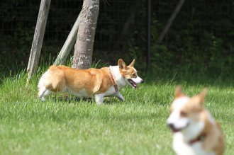 終わったと思ったら・・ 終わったと思ったら・・