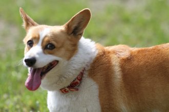 終わったと思ったら・・ 終わったと思ったら・・