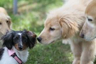 終わったと思ったら・・ 終わったと思ったら・・