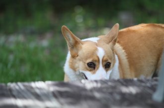 終わったと思ったら・・ 終わったと思ったら・・