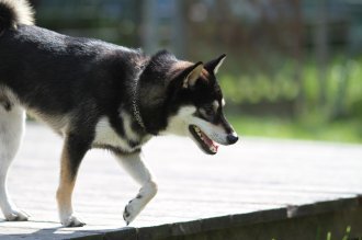 終わったと思ったら・・ 終わったと思ったら・・