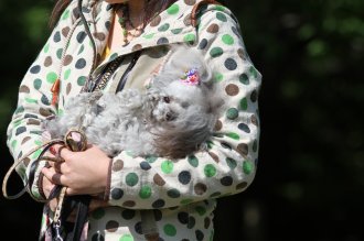 終わったと思ったら・・ 終わったと思ったら・・