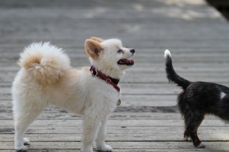 終わったと思ったら・・ 終わったと思ったら・・