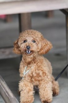 モデルさん♪ モデルさん♪