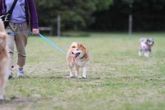 モデルさん♪ モデルさん♪