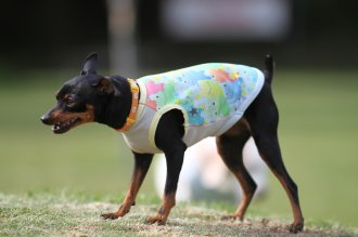 モデルさん♪ モデルさん♪
