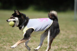 良い表情♪ 良い表情♪