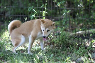 良い表情♪ 良い表情♪