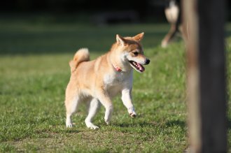 良い表情♪ 良い表情♪