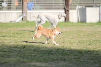 良い表情♪ 良い表情♪