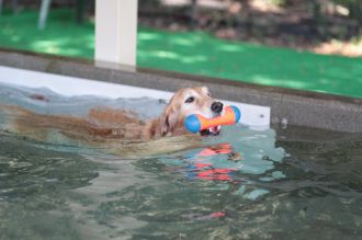 ニャシャシャ♪ ニャシャシャ♪