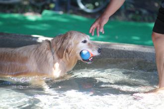 ニャシャシャ♪ ニャシャシャ♪