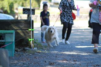 飛行犬撮影会は♪ 飛行犬撮影会は♪
