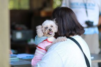 飛行犬撮影会は♪ 飛行犬撮影会は♪