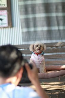 飛行犬撮影会は♪ 飛行犬撮影会は♪