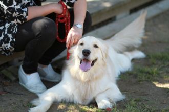 飛行犬撮影会は♪ 飛行犬撮影会は♪