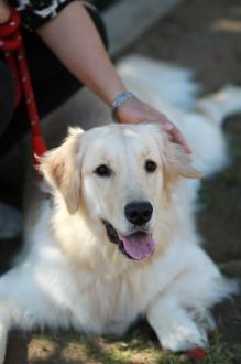 飛行犬撮影会は♪ 飛行犬撮影会は♪