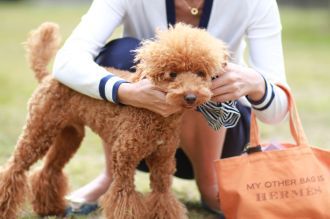 飛行犬撮影会は♪ 飛行犬撮影会は♪