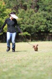 飛行犬撮影会は♪ 飛行犬撮影会は♪