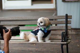 飛行犬撮影会は♪ 飛行犬撮影会は♪