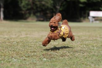 盛り上がってますな。 盛り上がってますな。