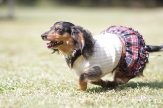 盛り上がってますな。 盛り上がってますな。