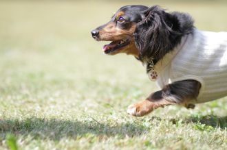 盛り上がってますな。 盛り上がってますな。