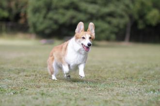 盛り上がってますな。 盛り上がってますな。