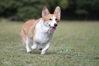 盛り上がってますな。 盛り上がってますな。