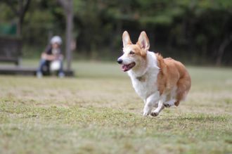 盛り上がってますな。 盛り上がってますな。