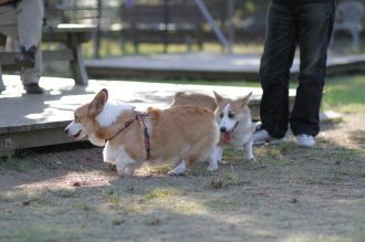 盛り上がってますな。 盛り上がってますな。