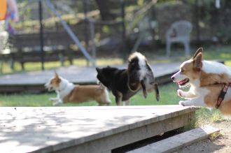 盛り上がってますな。 盛り上がってますな。