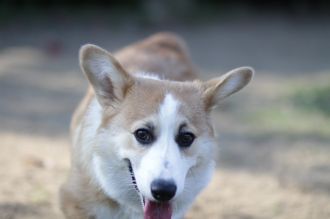 盛り上がってますな。 盛り上がってますな。