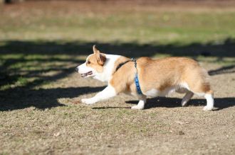 おおおぉぉぉぉ~!!! おおおぉぉぉぉ~!!!