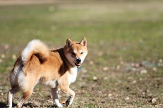 おおおぉぉぉぉ~!!! おおおぉぉぉぉ~!!!