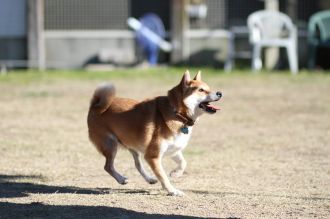 おおおぉぉぉぉ~!!! おおおぉぉぉぉ~!!!