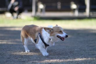 おおおぉぉぉぉ~!!! おおおぉぉぉぉ~!!!
