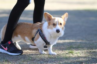 おおおぉぉぉぉ~!!! おおおぉぉぉぉ~!!!