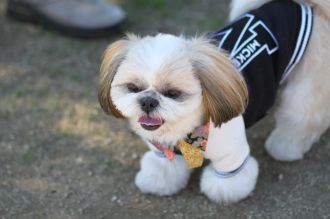 年の初めの良い笑顔♪ 年の初めの良い笑顔♪