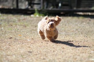 年の初めの良い笑顔♪ 年の初めの良い笑顔♪