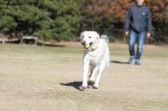 年の初めの良い笑顔♪ 年の初めの良い笑顔♪