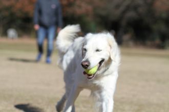 年の初めの良い笑顔♪ 年の初めの良い笑顔♪